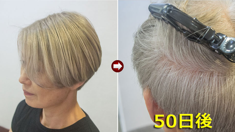 50日周期の白髪ぼかし淡染め