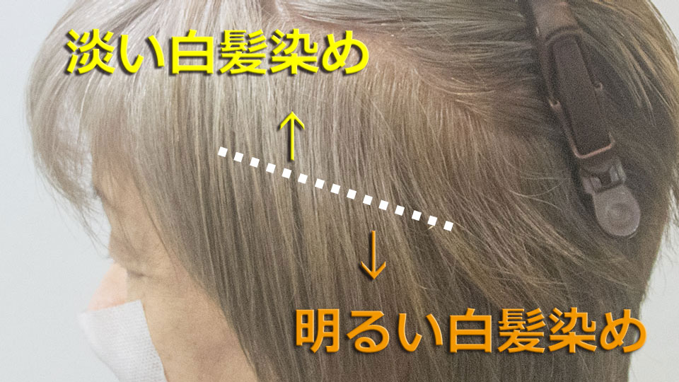 明るい白髪染めと淡い白髪染めの違い