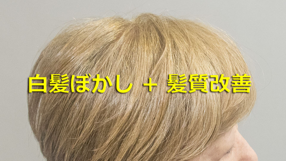 白髪ぼかしと髪質改善