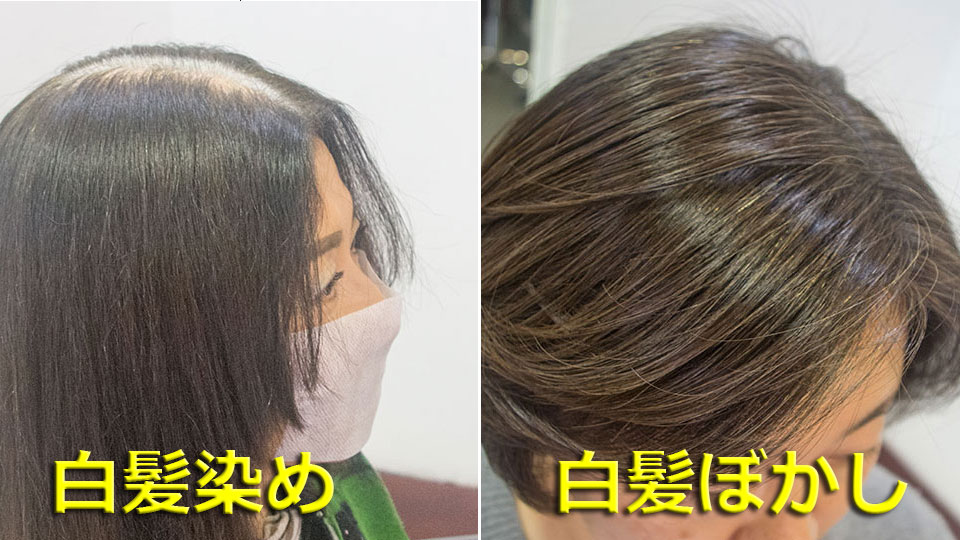 白髪染めと白髪ぼかしの違い