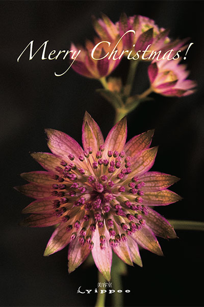 2025yippeeクリスマスカード年末年始