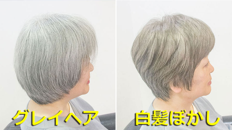 白髪ぼかし染めとグレイヘアの違い