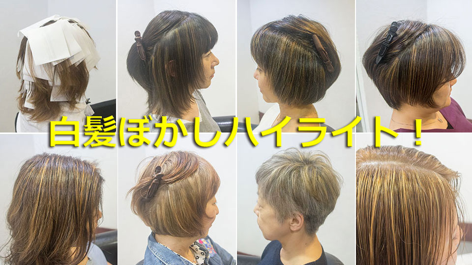 白髪ぼかしハイライト8人の実例画像